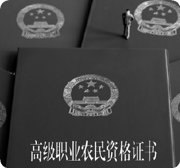 陜西等地已向農(nóng)民頒發(fā)“高級職業(yè)農(nóng)民”證書。